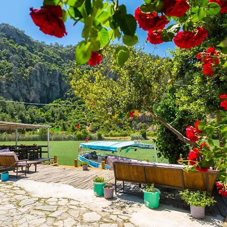 Derya Paradise داليان
