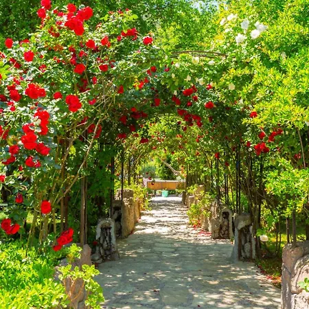 Derya Paradise * داليان